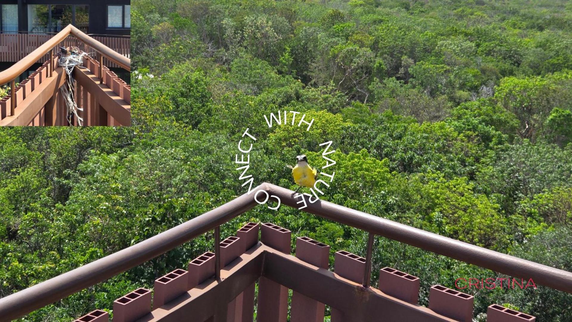 Appartement With Private Jacuzzi, Rooftop Pools & Free Club Tulum