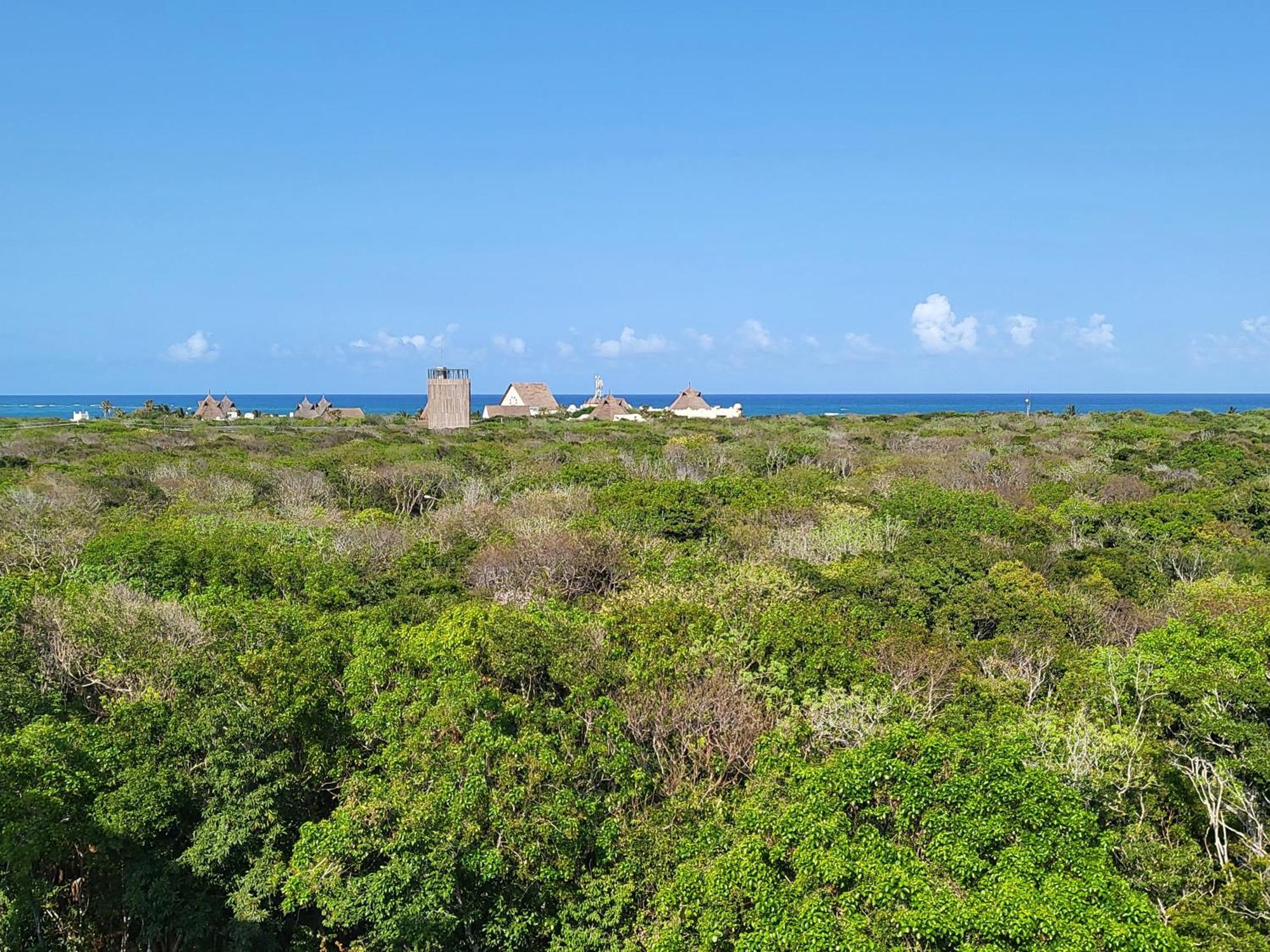 Apartment With Private Jacuzzi & Free Beach Club *